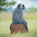 Wildcrete Monkey